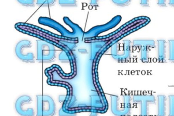 Как найти сайт кракен