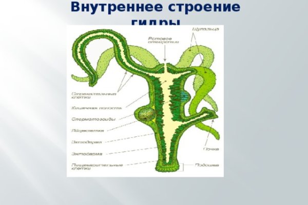 Кракен онион kraken014 com