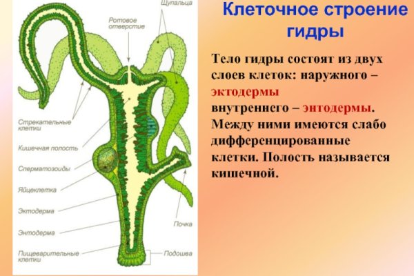 Кракен сайт официальный ссылка kraken clear com