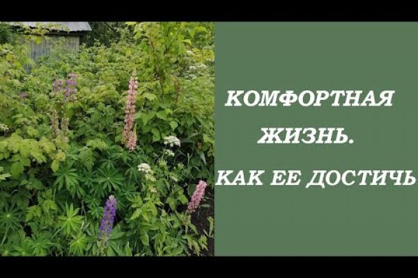Kraken дарк магазин