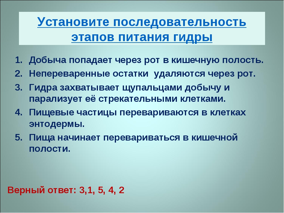 Kra19at